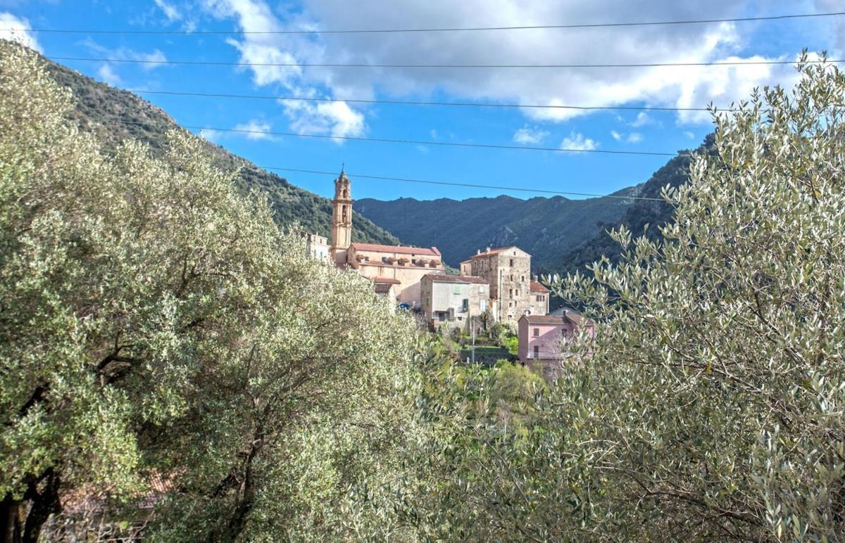 Casa Torra Appartement Omessa Buitenkant foto